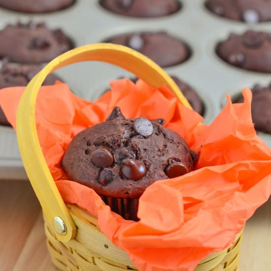 Double Chocolate Chip Muffins
