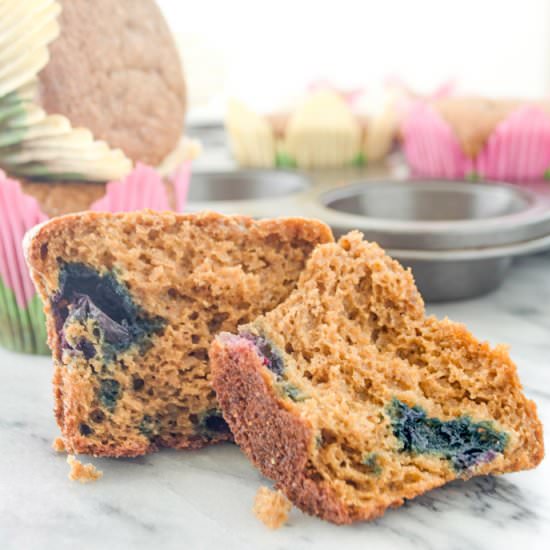 Garbanzo Bean Blueberry Protein