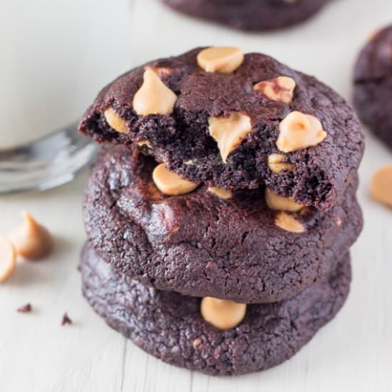 Chocolate Peanut Butter Cookies