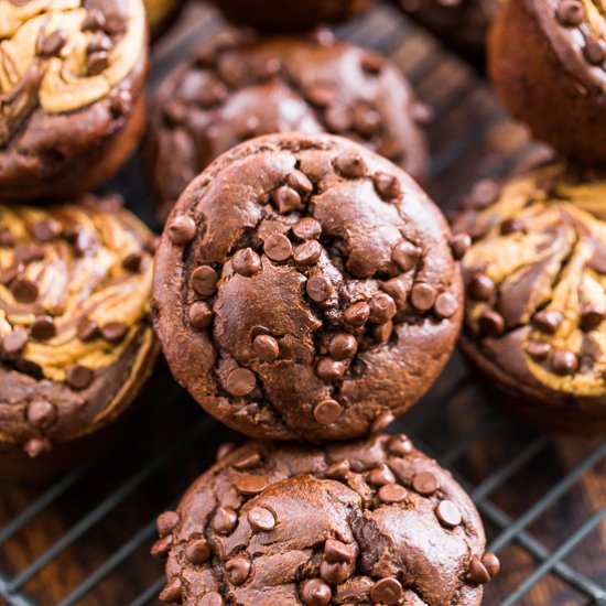 Chocolate Peanut Butter Muffins