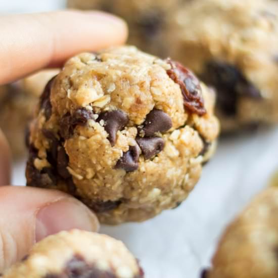 Oatmeal Cookie Energy Bites