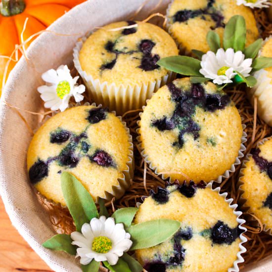 blueberry corn muffins