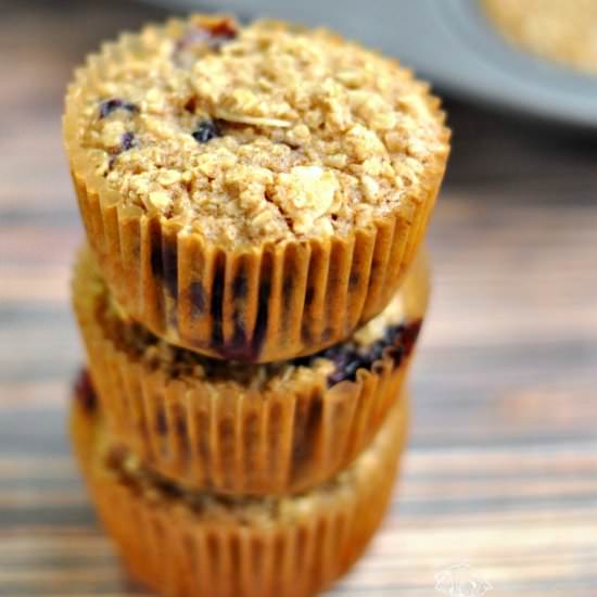 Blueberry Nut Baked Oatmeal Muffins