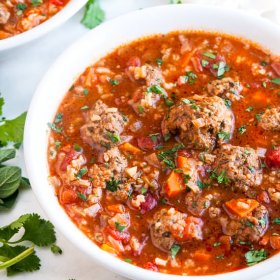 Albondigas Soup (Mexican Meatball)