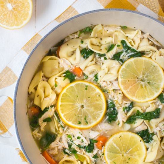 Lemon Chicken Tortellini Soup