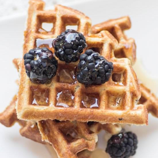 Blackberry Cornmeal Waffles