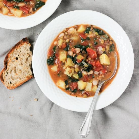 Winter Vegetable Stew
