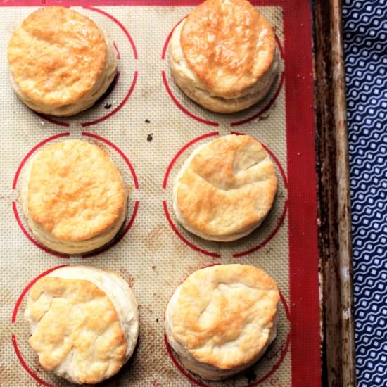Buttermilk Biscuits