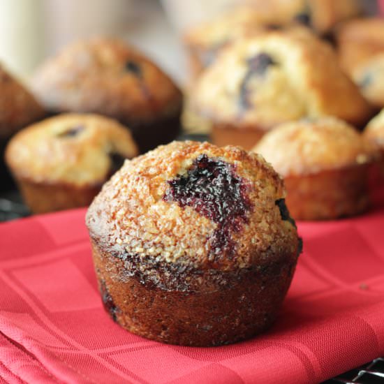 Blueberry Cream Cheese Muffins