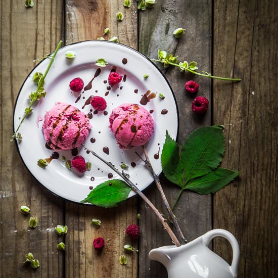 Rhubarb Raspberry Coconut Ice Cream