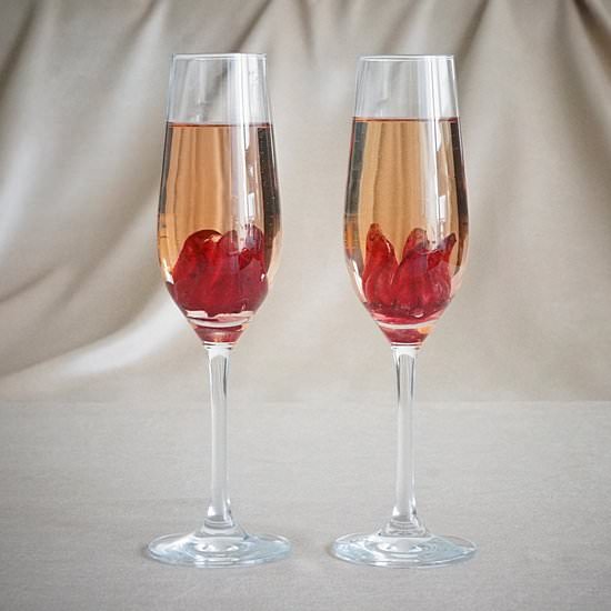 Wild Hibiscus Flowers in Champagne