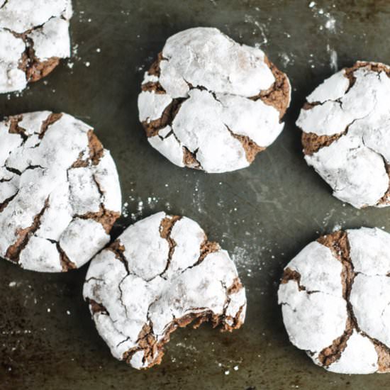 Low Fodmap Cocoa Crinkle Cookies