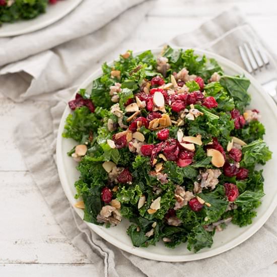 Roasted Cranberry and Kale Salad