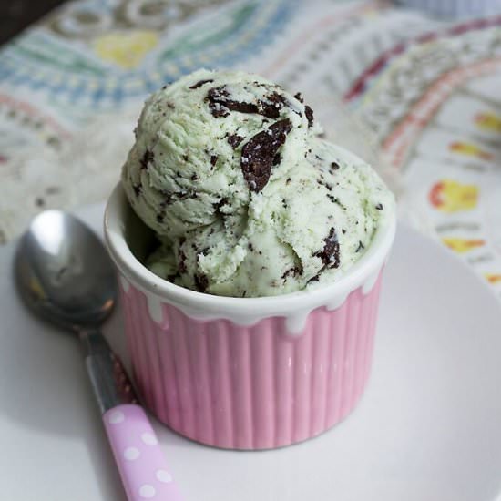 Homemade Mint Chocolate Chip Ice Cream