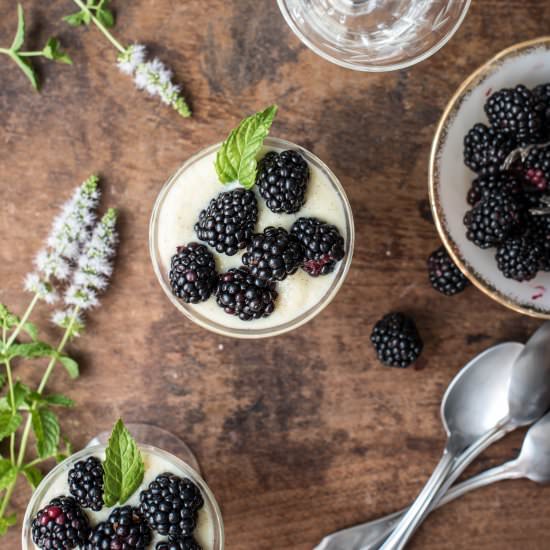 Vanilla Pudding