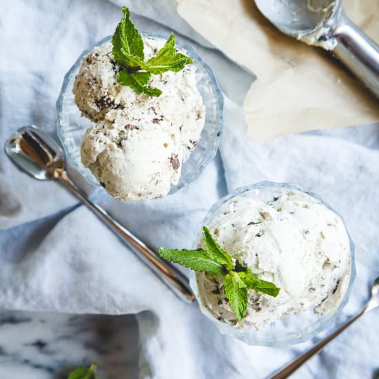 Vegan Mocha Chip Ice Cream