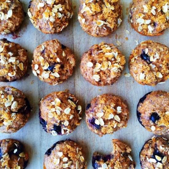 Blueberry Protein Muffins