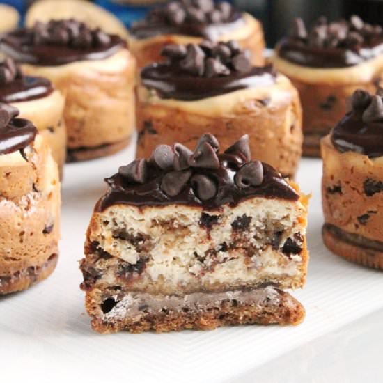 Mini Chocolate Chip Oreo Cheesecake