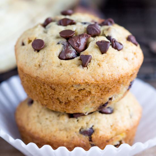 Banana Chocolate Chip Muffins