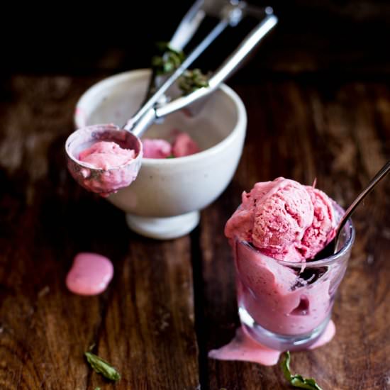 Sour Cherry Lemon Verbena Ice Cream
