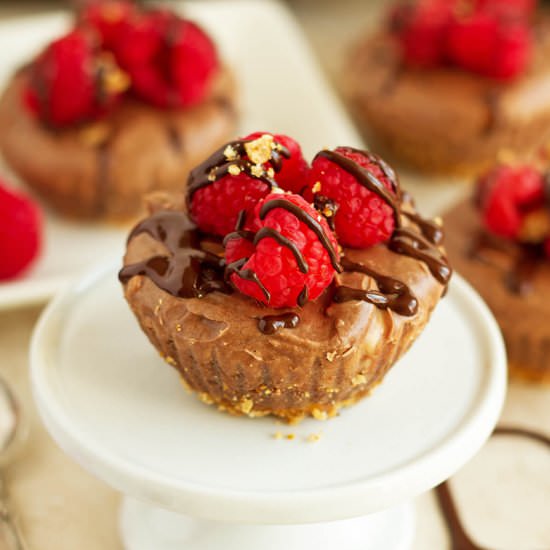 Chocolate Cheesecake Cupcakes