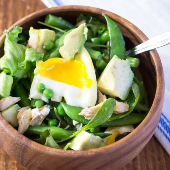 Mackerel and green bean salad