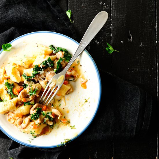 Gnocchi with Chicken Ragout