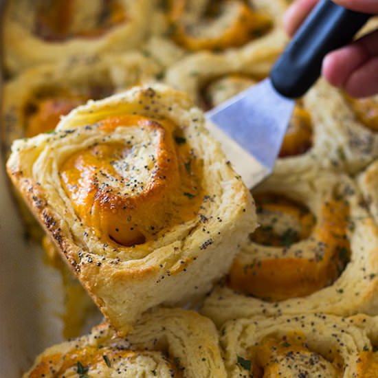 Ham and Cheddar Biscuit Rolls