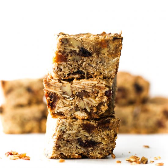 Fruit and Nut Granola Bars {GF}
