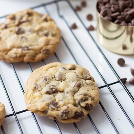 Chewy Chocolate Chip Cookies