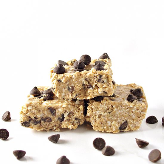 No-Bake Chocolate Chip Coconut Bars