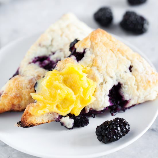 Blackberry Scones