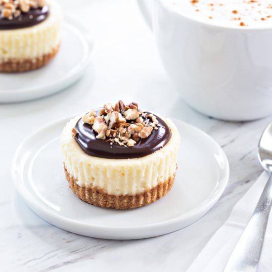 Mini Chocolate Pecan Cheesecakes