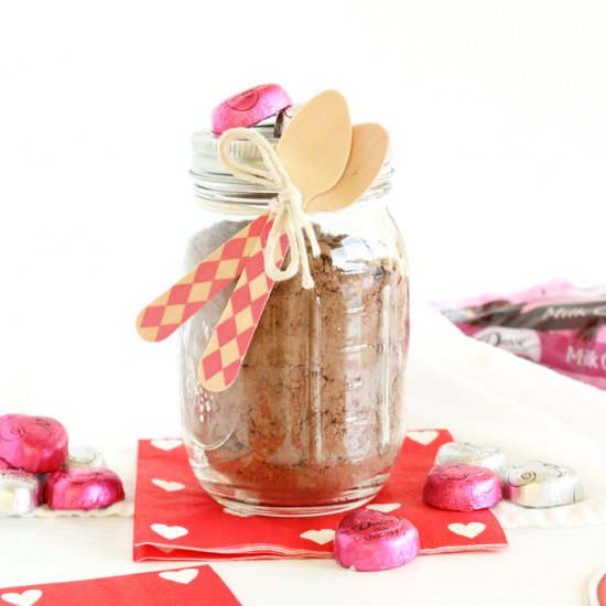 Homemade Dove Hot Cocoa Mix
