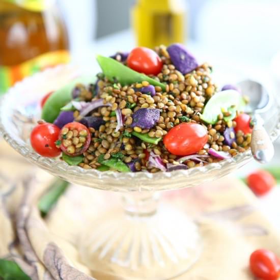 Pardina Lentil Salad w/ Snow Peas