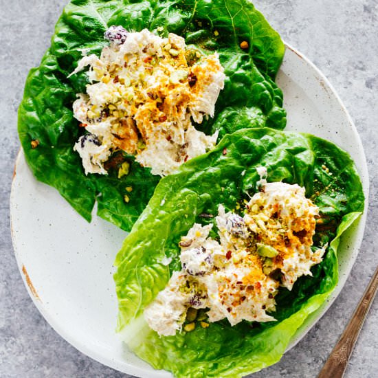 Turmeric Greek Yogurt Chicken Salad