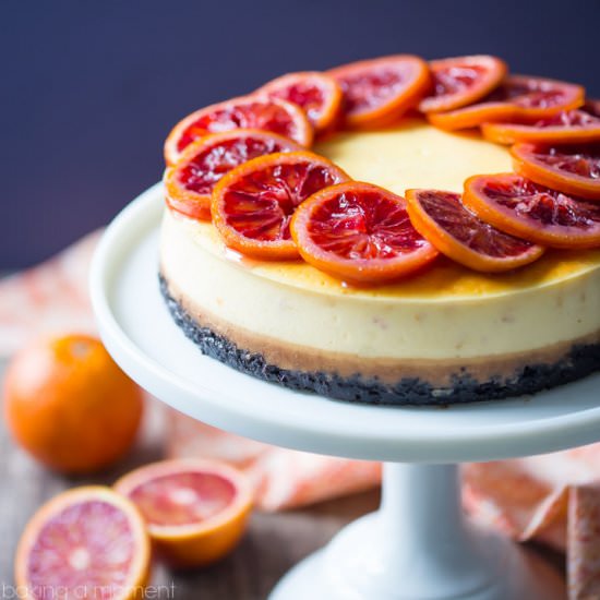 Blood Orange Cheesecake