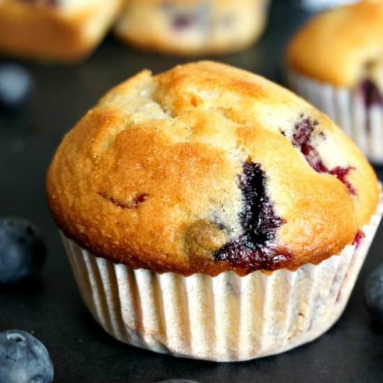Best blueberry muffins