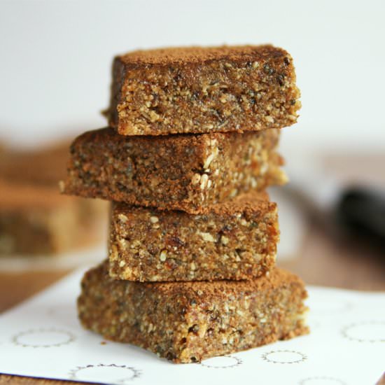 Raw Pumpkin Energy Squares
