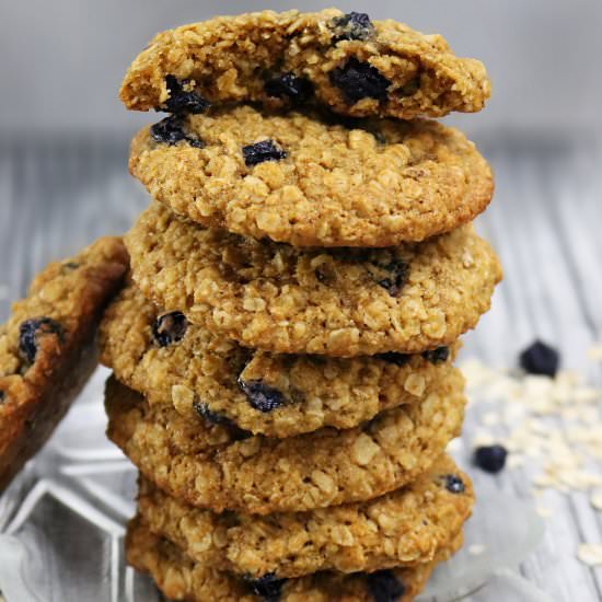Blueberry Oatmeal Cookies