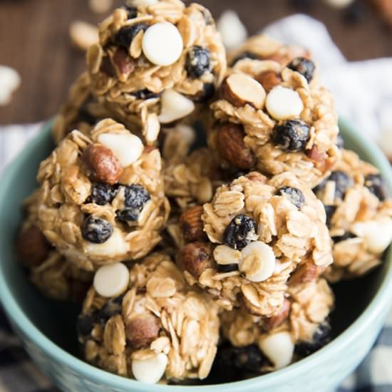Blueberry Almond Granola Bar Bites