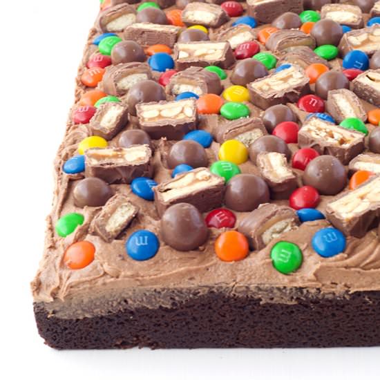 Candy Covered Chocolate Sheet Cake