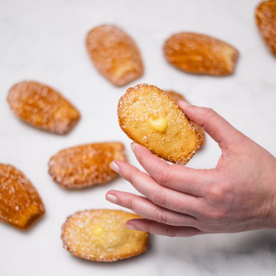 Meyer Lemon Curd Filled Madeleines