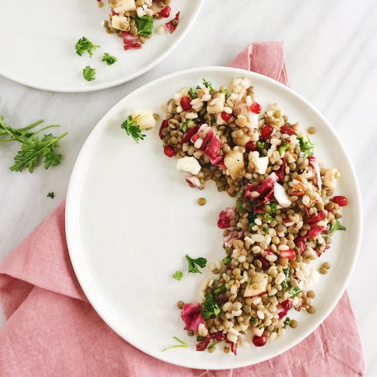 Pomegranate Lentil Barley Salad