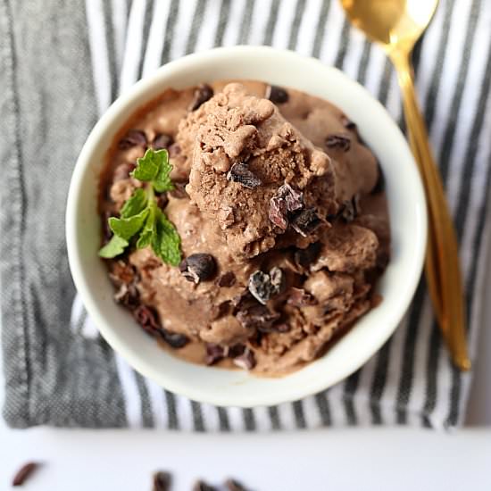 Double Chocolate Vegan Ice Cream