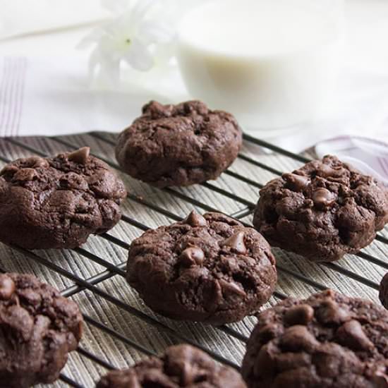 Chocolate Chocolate Chip Cookies
