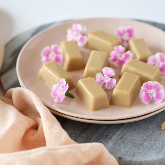 Healthy Russian Fudge (DF)