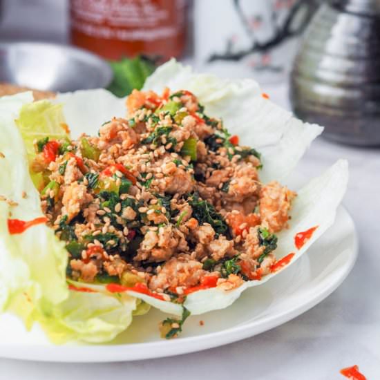 Asian Chicken Lettuce Wraps