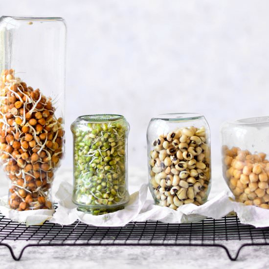 Homemade Sprouts