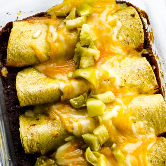 Jackfruit Enchiladas